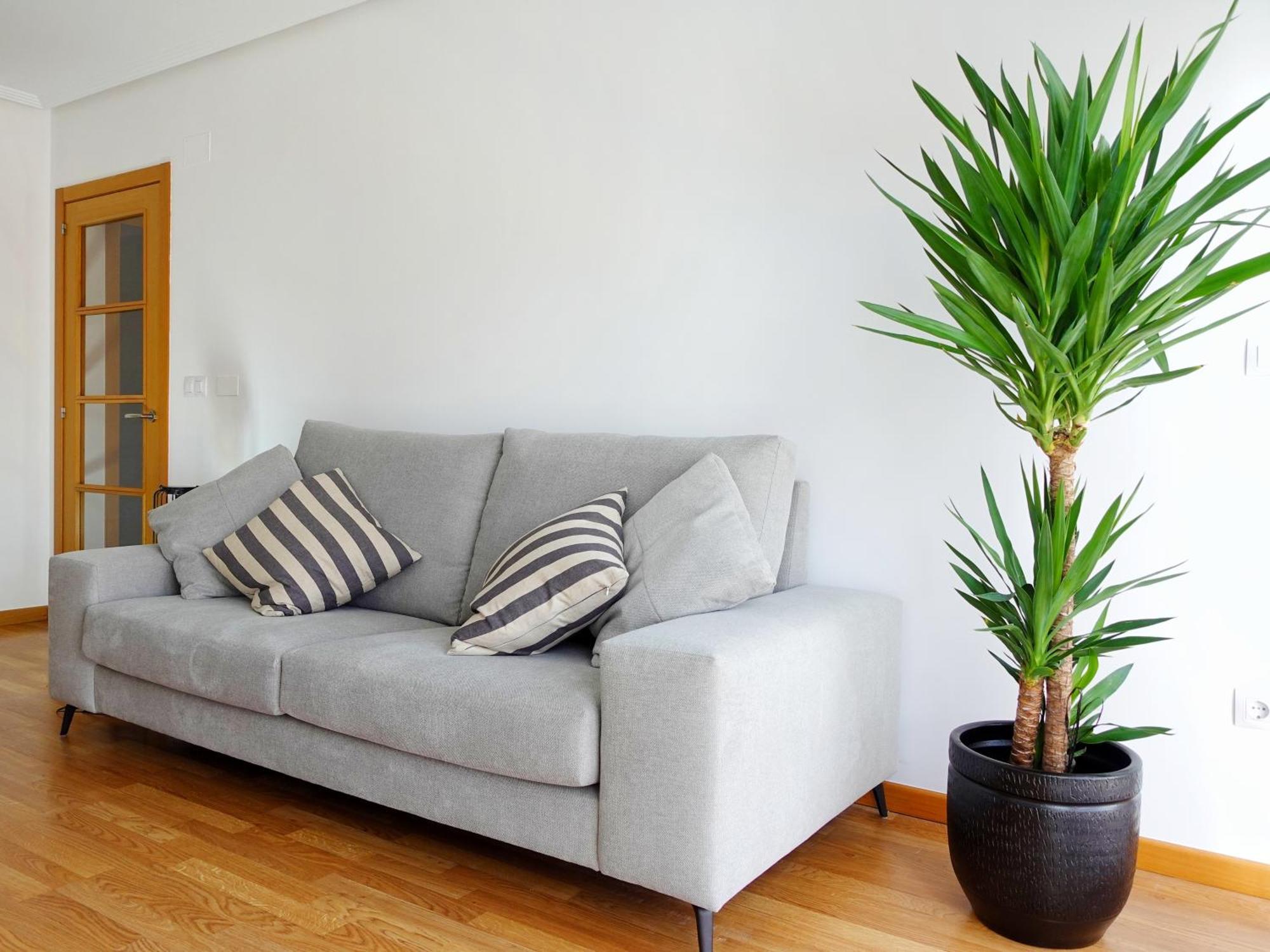 Atalaia Apartment Foz Dış mekan fotoğraf
